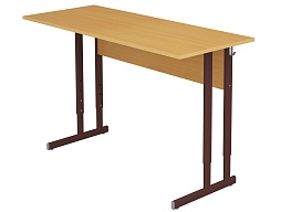 Стол 2-местный регулируемый 4-6 г/р - СТОро2.46-КЧ.Б